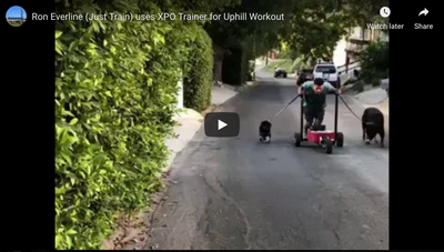 Ron Everline (Just Train) uses XPO Trainer for Uphill Push Sled Workout