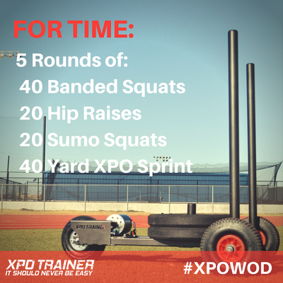Armored Fitness - XPOWOD: All the squats!