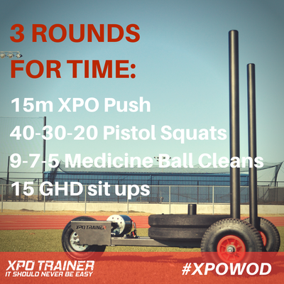 Armored Fitness Sled Workout - Pistol Squats