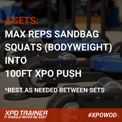 Armored Fitness Push Sled Workout - Grizzly via @sledwod